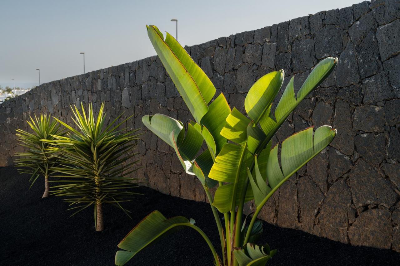 Villas Altos De Lanzarote Playa Blanca Dış mekan fotoğraf
